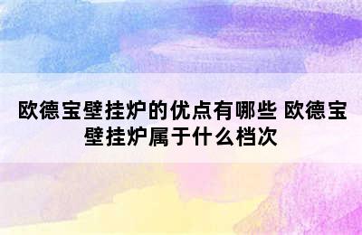 欧德宝壁挂炉的优点有哪些 欧德宝壁挂炉属于什么档次